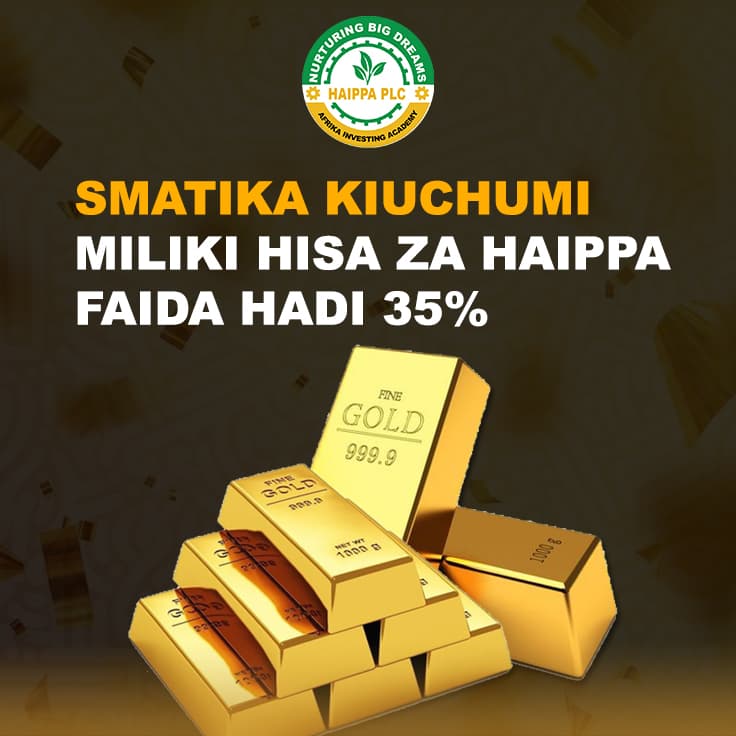 WEKEZA NA HAIPPA KWENYE SEKTA YA MADINI