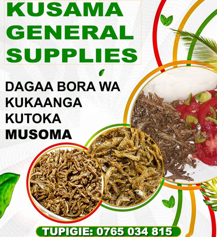 DAGAA WA KUKAANGA KUTOKA MUSOMA